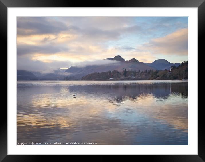 A Lone Gull at Derwentwater Framed Mounted Print by Janet Carmichael