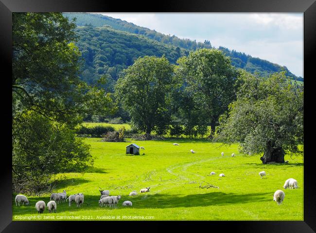 Serene Shropshire Hills Framed Print by Janet Carmichael