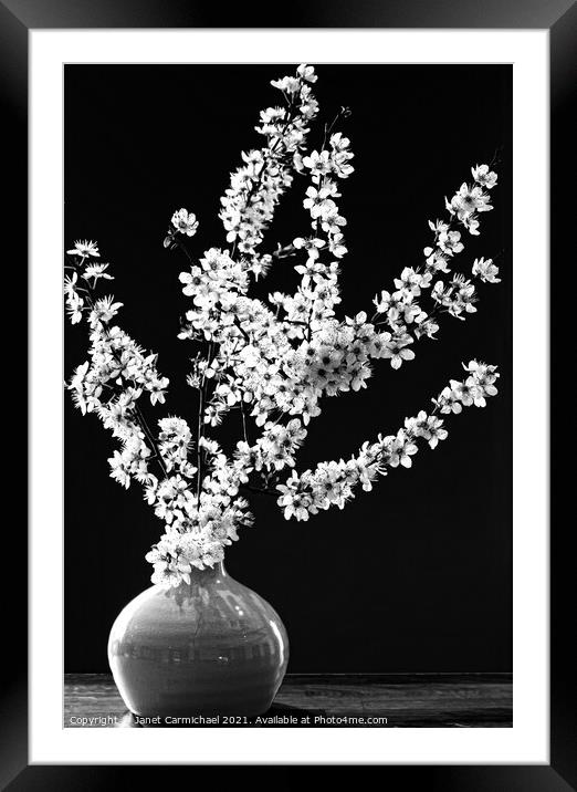 Dramatic Monochrome Spring Blossom Framed Mounted Print by Janet Carmichael