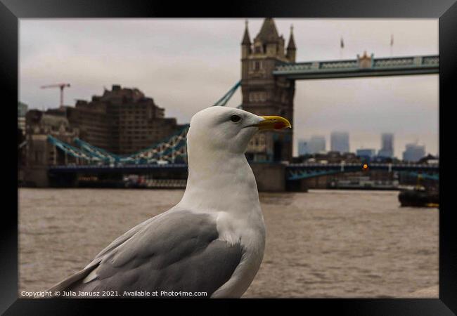 Seagull in London  Framed Print by Julia Janusz