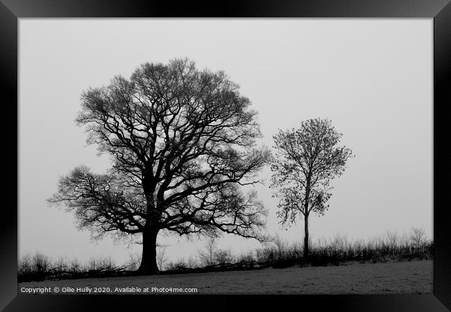 black and white tree's in a field  Framed Print by Ollie Hully