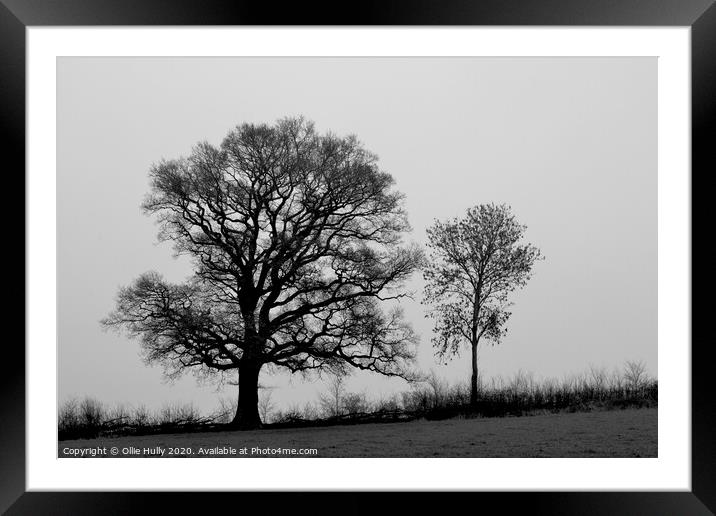 black and white tree's in a field  Framed Mounted Print by Ollie Hully