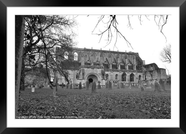 Malmesbury Abbey through the trees Framed Mounted Print by Ollie Hully