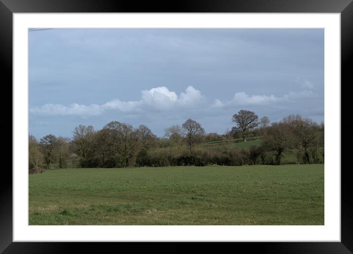 Wiltshire countryside  Framed Mounted Print by Ollie Hully