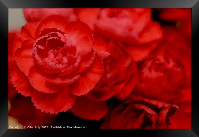 Red carnations digital art Framed Print by Ollie Hully