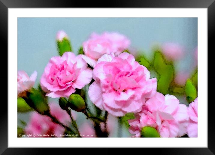 pink carnations digital art Framed Mounted Print by Ollie Hully