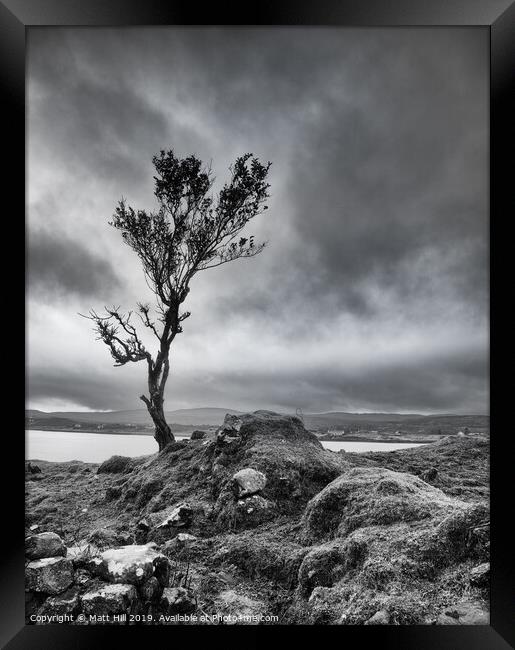 Lone tree on a windswept Isle of Skye Framed Print by Matt Hill
