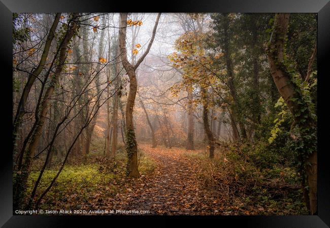 Woodland Framed Print by Jason Atack