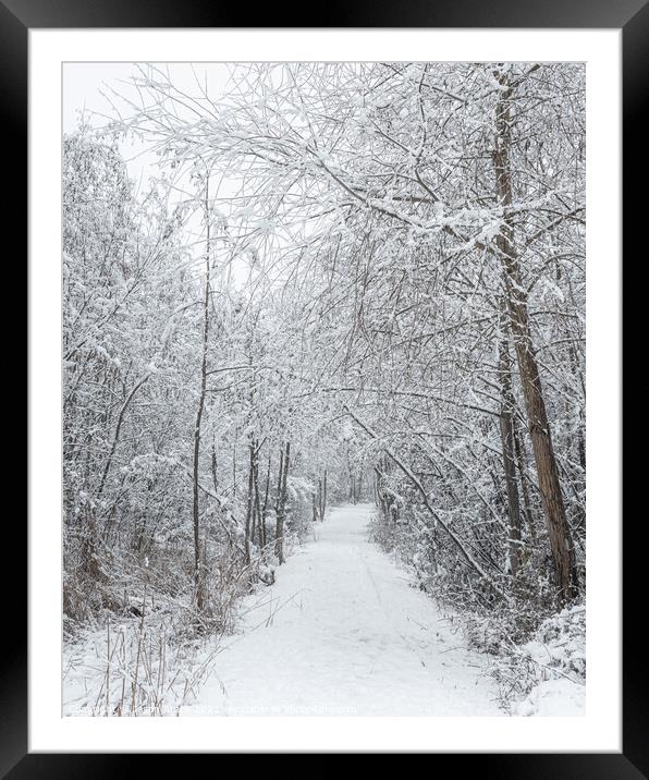 A Winters Morning Framed Mounted Print by Jason Atack