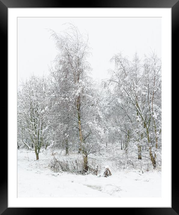 A Winters Morning Framed Mounted Print by Jason Atack