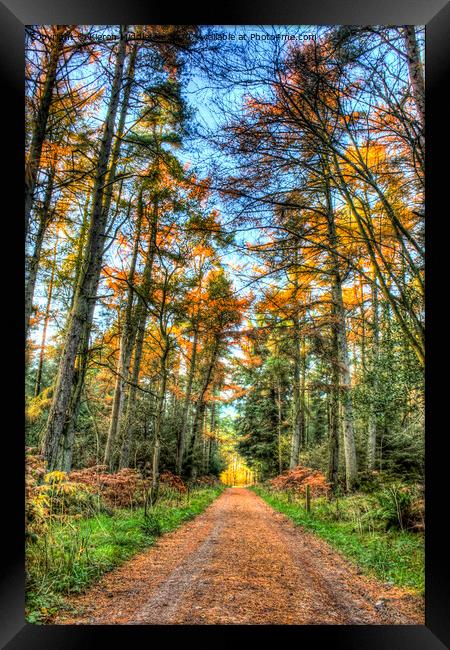 Dalby in the Autumn Framed Print by Kieron Middleton