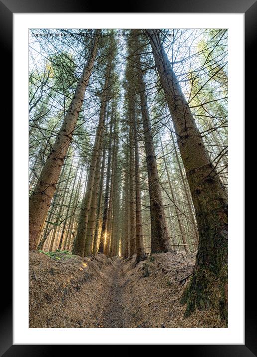 Dalby Staindale 10k route Framed Mounted Print by Kieron Middleton