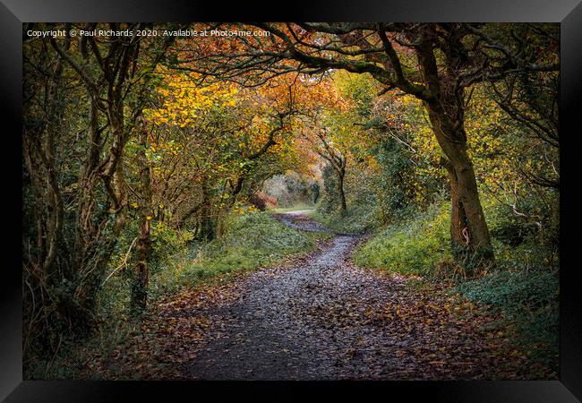 Autumn in Cornwall Framed Print by Paul Richards