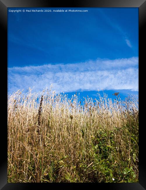 Outdoor field Framed Print by Paul Richards