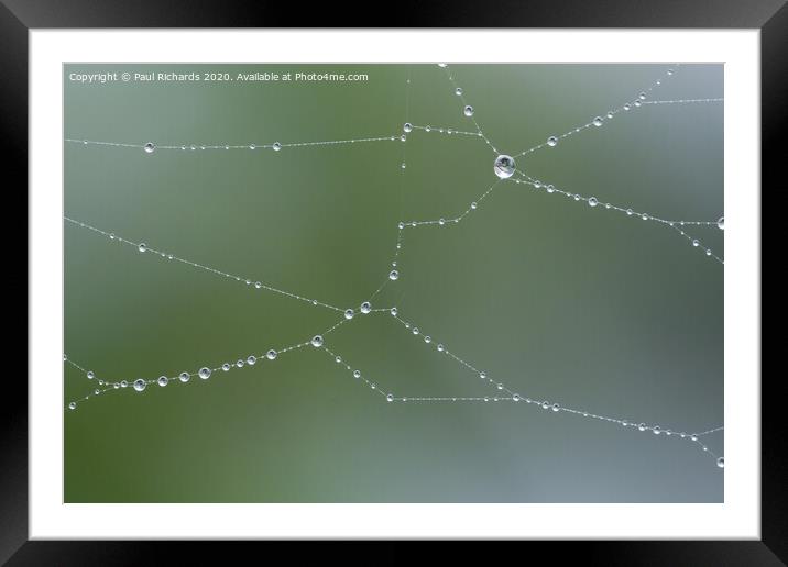 Water droplets on a spider web Framed Mounted Print by Paul Richards