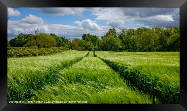 Fields of Green Framed Print by Robin Hunter