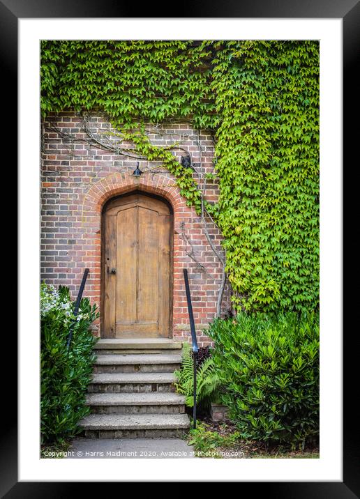 Ivy Doorway Framed Mounted Print by Harris Maidment