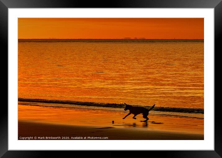 Dog Playing at Sunset Framed Mounted Print by Mark Brinkworth