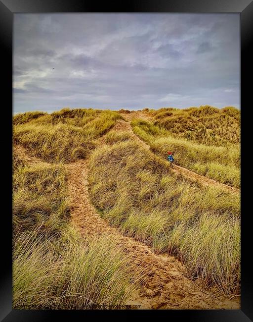 Port Talbot sand dunes  Framed Print by Zoe Burke