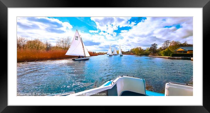 Broads Yachts  Framed Mounted Print by Tom Hartfil-Allgood