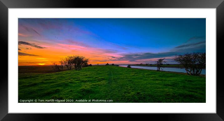 Lincolnshire Sunset Framed Mounted Print by Tom Hartfil-Allgood
