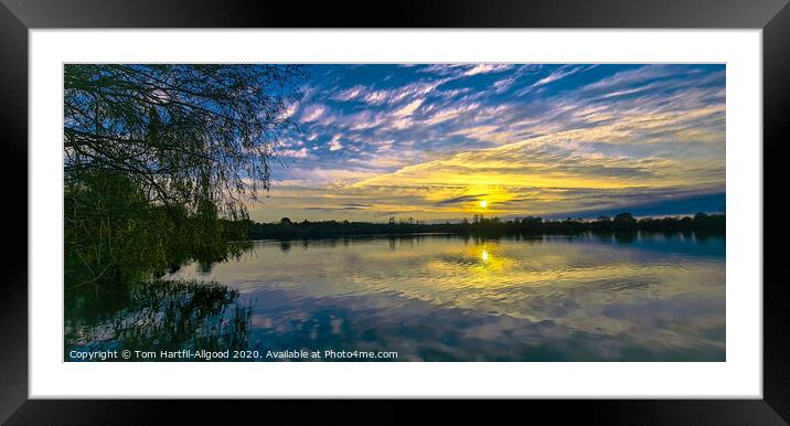 Lake sunset  Framed Mounted Print by Tom Hartfil-Allgood