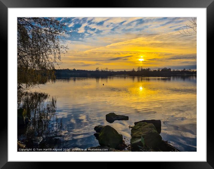 Ferry Meadows Sunset  Framed Mounted Print by Tom Hartfil-Allgood