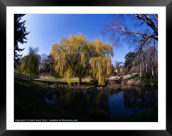 Paradise in a Park Framed Mounted Print by Mark Ward
