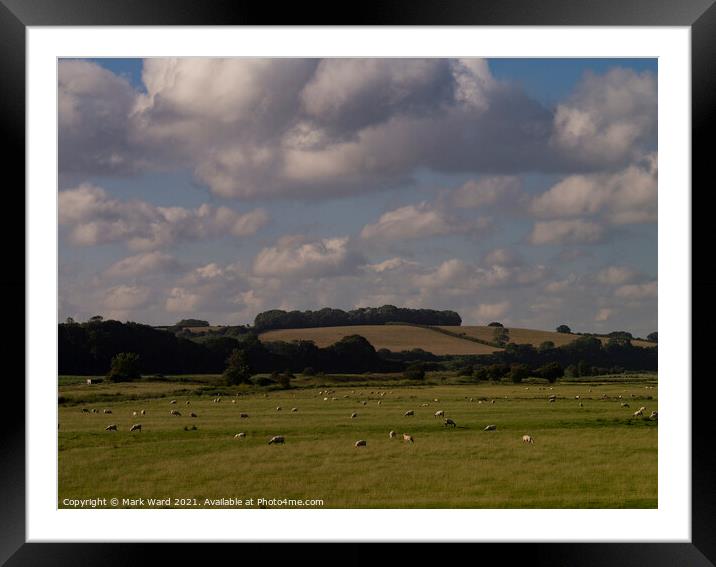 Pett Level Farmland Scene. Framed Mounted Print by Mark Ward