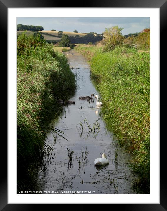 Peace on the River. Framed Mounted Print by Mark Ward