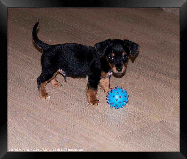 Playing Ball Framed Print by Mark Ward