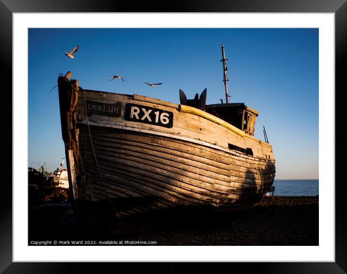 Where Seagulls Dare. Framed Mounted Print by Mark Ward