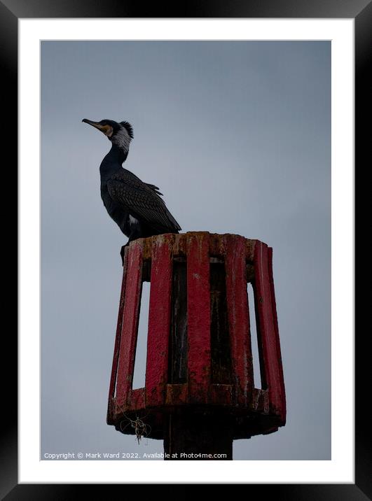 An Eye on the Tide. Framed Mounted Print by Mark Ward