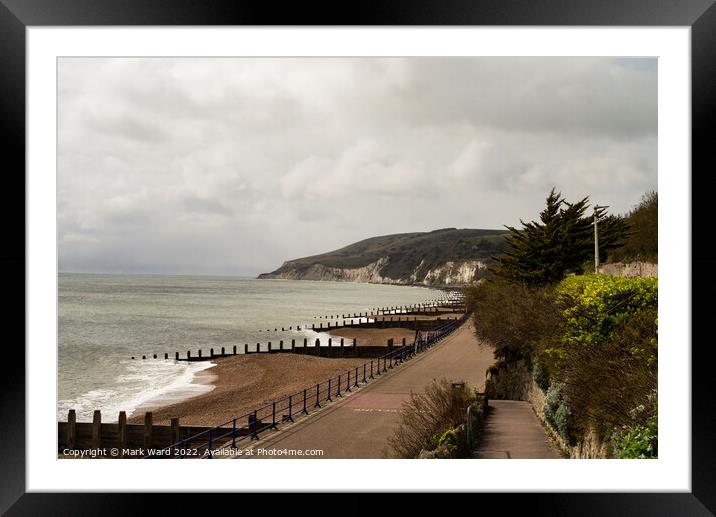 Eastbourne Promenade. Framed Mounted Print by Mark Ward