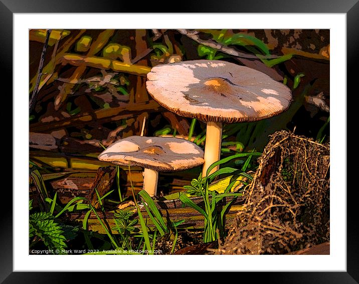 Fungal World. Framed Mounted Print by Mark Ward