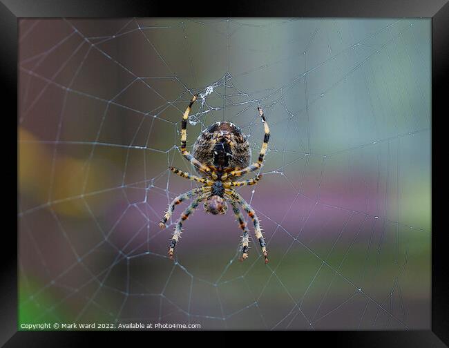 Friend of the Brave Gardener. Framed Print by Mark Ward