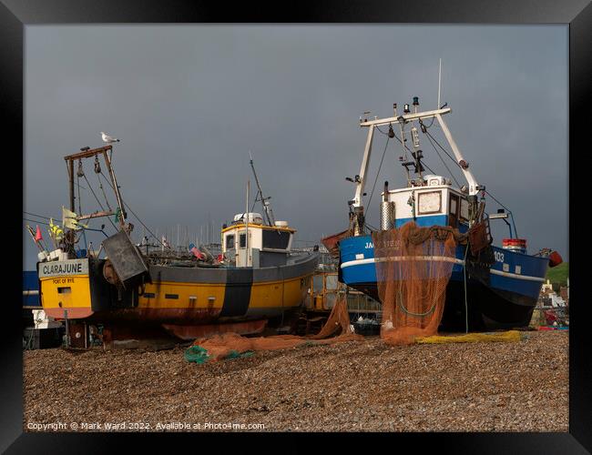 Back on the Stade. Framed Print by Mark Ward