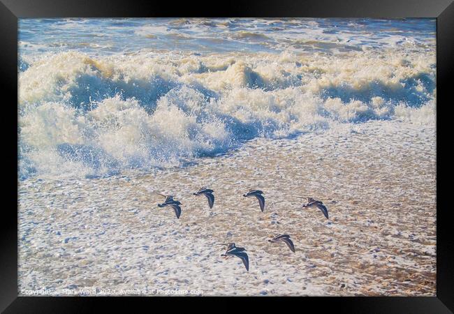 A flock of  birds flying over a beach Framed Print by Mark Ward
