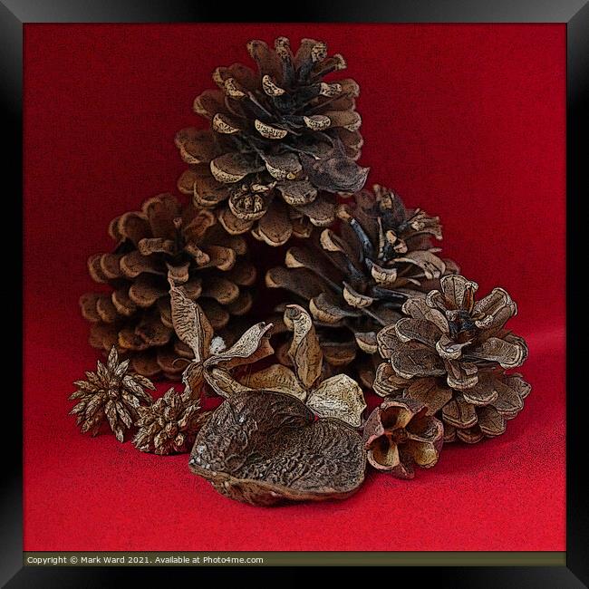 Pine Cones and Seed Cases. Framed Print by Mark Ward