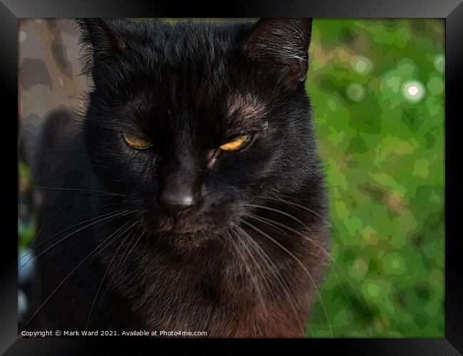 Close Encounter with a Cat Framed Print by Mark Ward