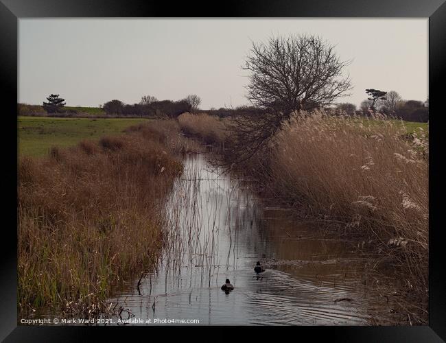 The Royal Military Canal at Pett Level Framed Print by Mark Ward