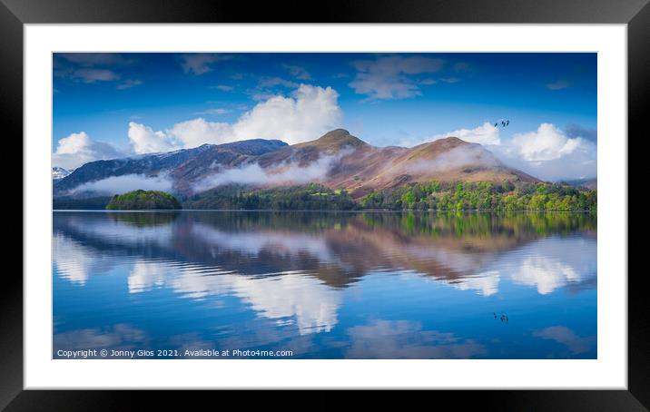 4 Flying Birds  Framed Mounted Print by Jonny Gios