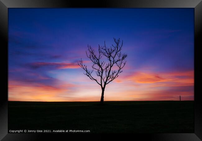 The Lone Tree Sunset  Framed Print by Jonny Gios