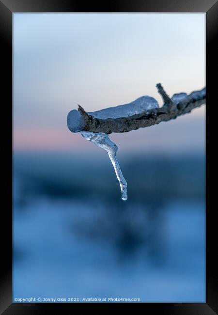 Ice Branch  Framed Print by Jonny Gios