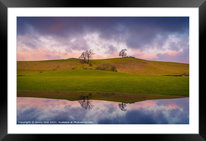 Two trees reflection  Framed Mounted Print by Jonny Gios