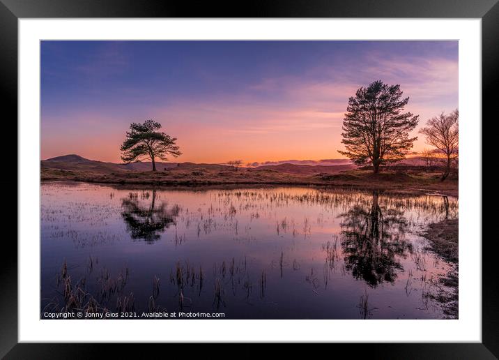 2 Trees of Kelly Hall Tarn at Sunset  Framed Mounted Print by Jonny Gios