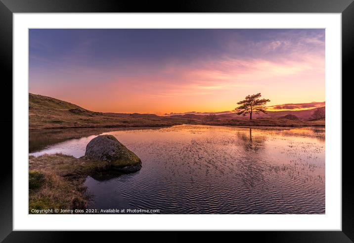 The Rock and the Tree Framed Mounted Print by Jonny Gios