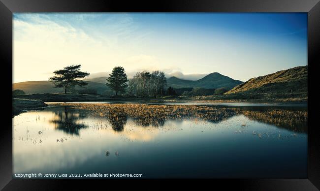 Yellow reeds of Kelly Tarn  Framed Print by Jonny Gios