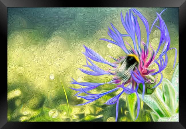 Busy Bee Framed Print by Paul Robson
