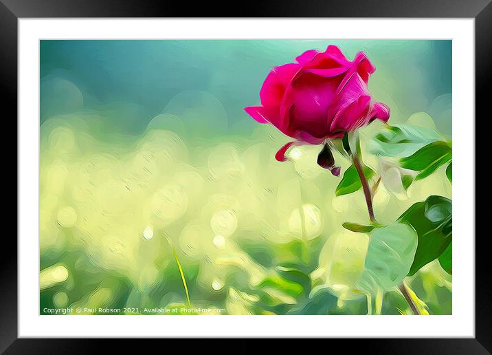 The Rose Framed Mounted Print by Paul Robson